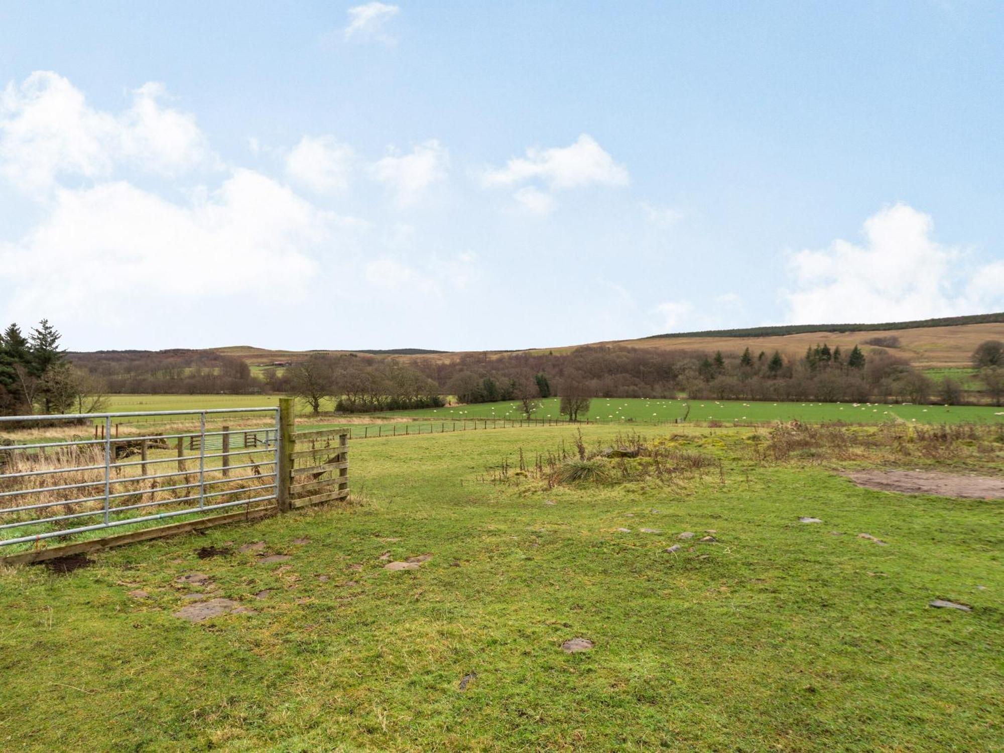 Ferny Rigg Byre - Uk3326