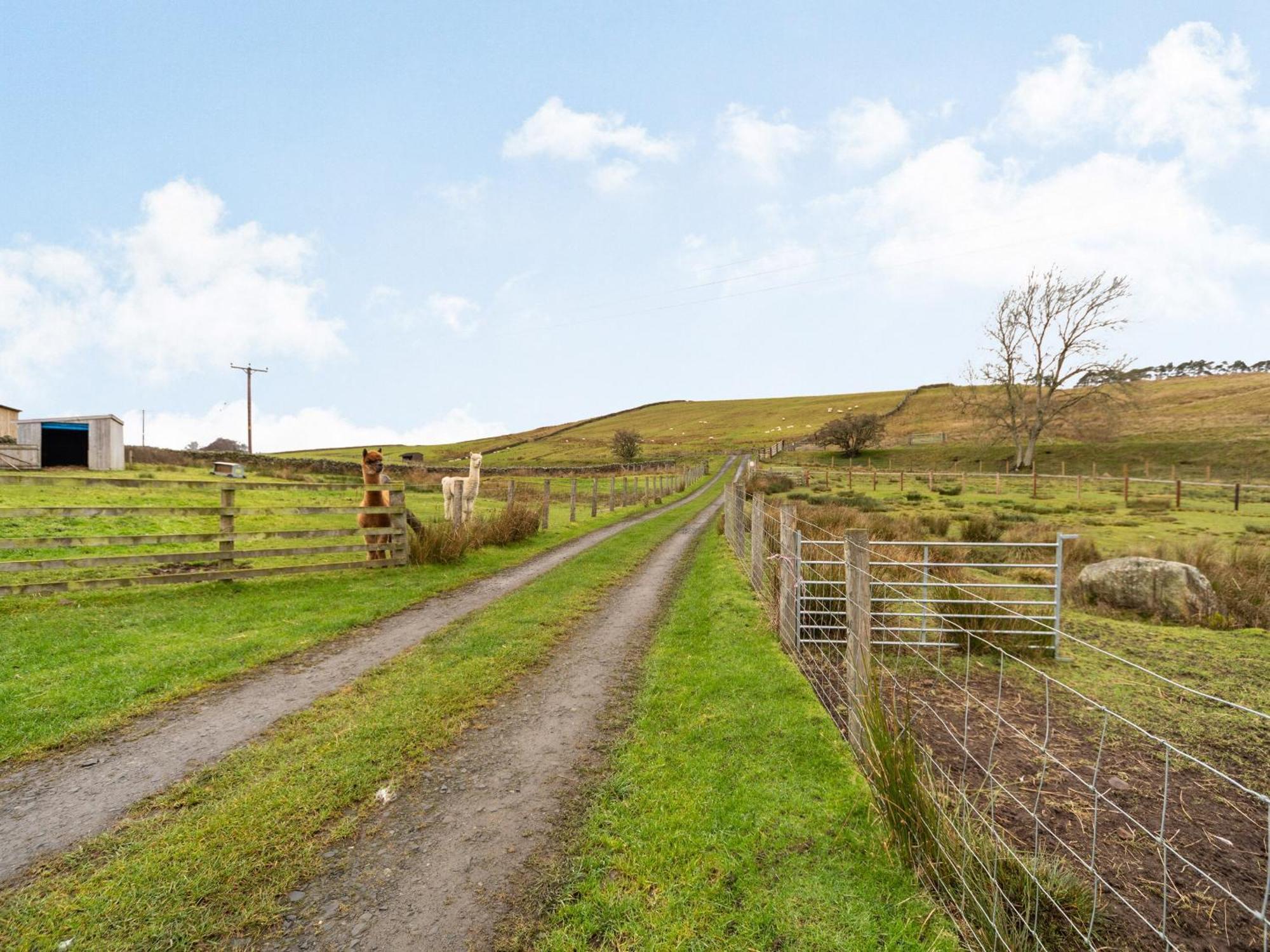 Holiday home Ferny Rigg Byre - Uk3326 Falstone