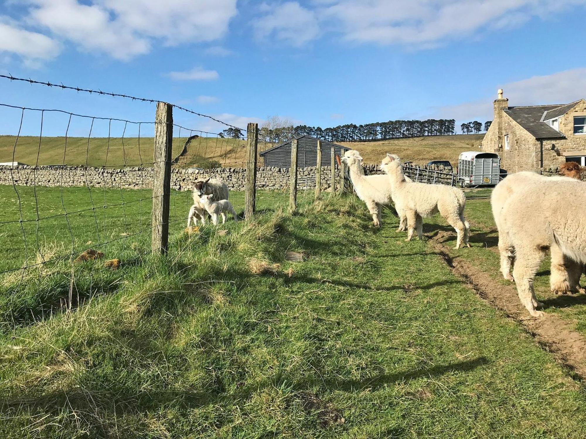 Holiday home Ferny Rigg Byre - Uk3326 *